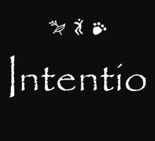 Board game, Intentio