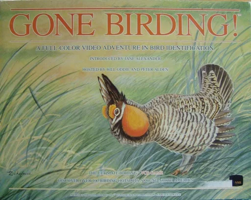 Board game, Gone Birding!
