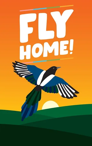 Board game, Fly Home!