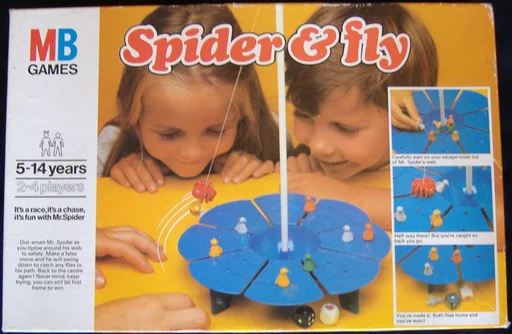 Board game, Spider & Fly