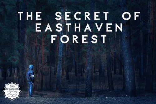 Board game, The Secret of Easthaven Forest