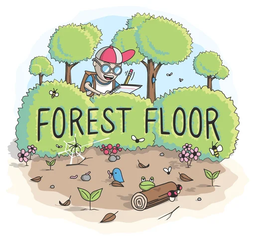 Forest Floor