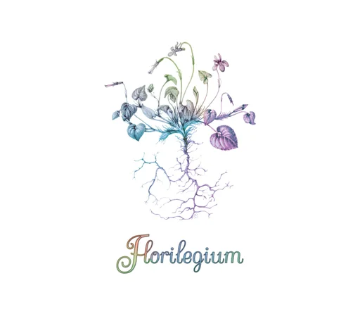 Board game, Florilegium