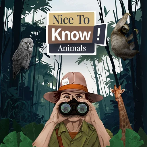 Board game, Nice to Know! Animals