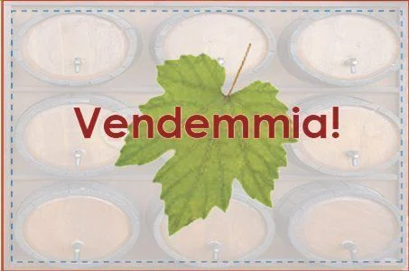 Board game, Vendemmia!