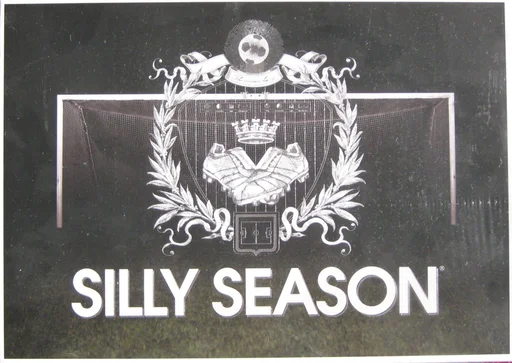 Board game, Silly Season