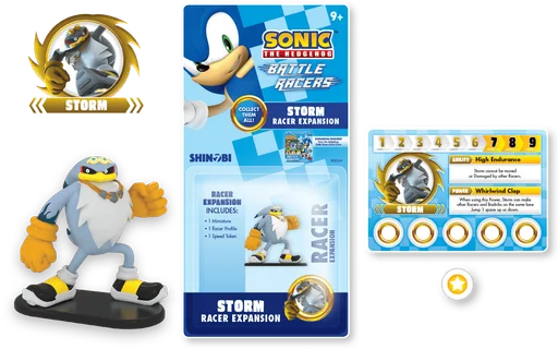 Sonic the Hedgehog: Battle Racers – Storm Racer Expansion