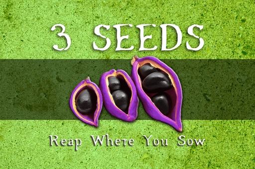 Board game, 3 Seeds: Reap Where You Sow