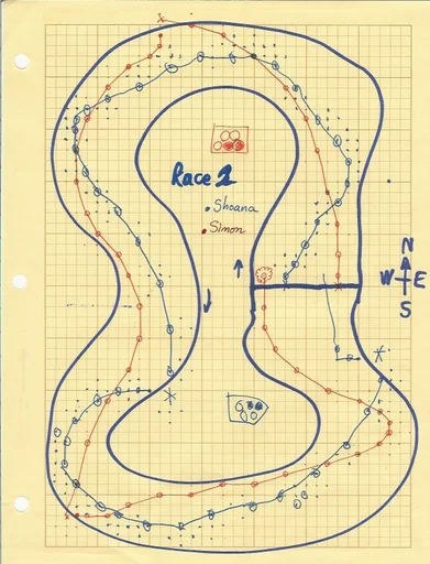 Board game, Racetrack
