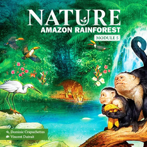 Nature: Amazon Rainforest