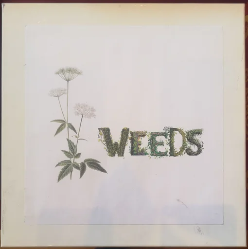 Board game, Weeds