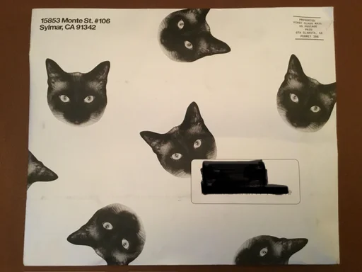 Cards Against Humanity: Pussy Pack