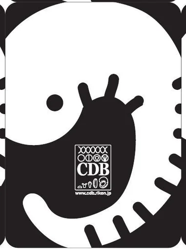 Board game, The RIKEN Center for Developmental Biology Card Game