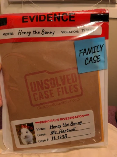 Board game, Unsolved Case Files: Family Case – Honey The Bunny