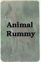 Board game, Animal Rummy
