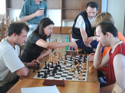 Board game, Bughouse Chess