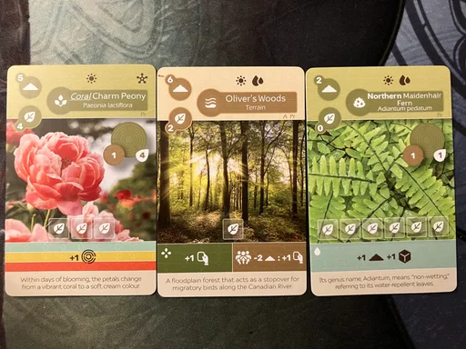 Earth: Gen Con Promo Pack 2