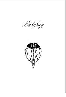 Board game, Ladybug