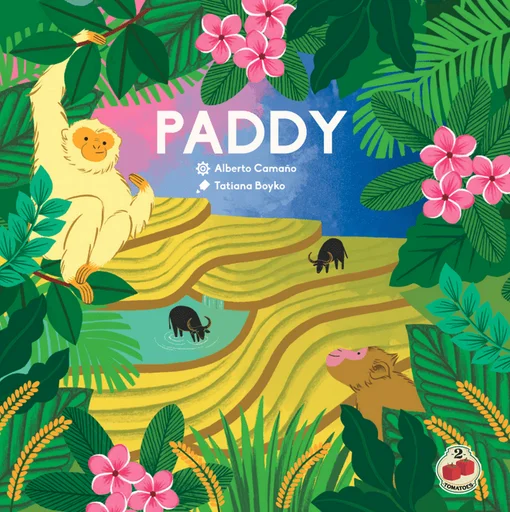 Board game, Paddy