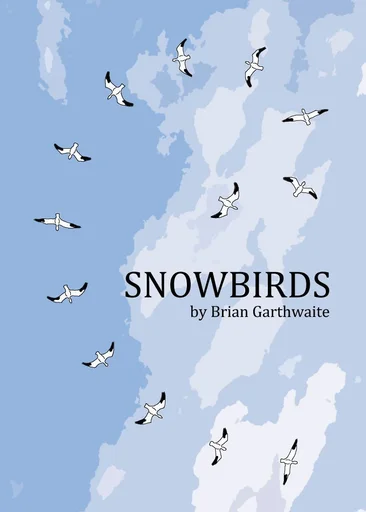 Board game, Snowbirds