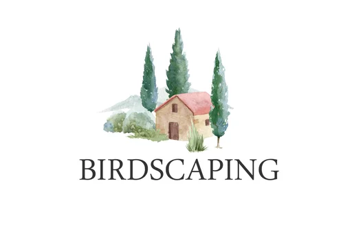 Board game, Birdscaping