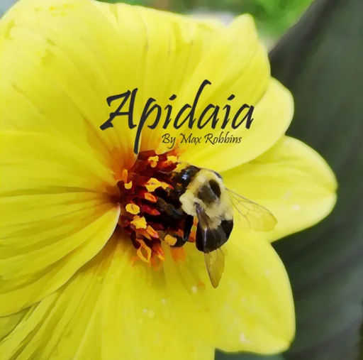 Board game, Apidaia
