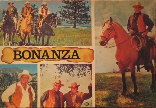 Board game, Bonanza