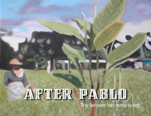 Board game, After Pablo